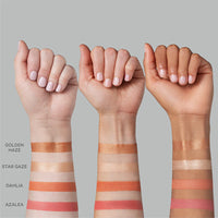 Kevyn Aucoin The Art of Blush & Glow