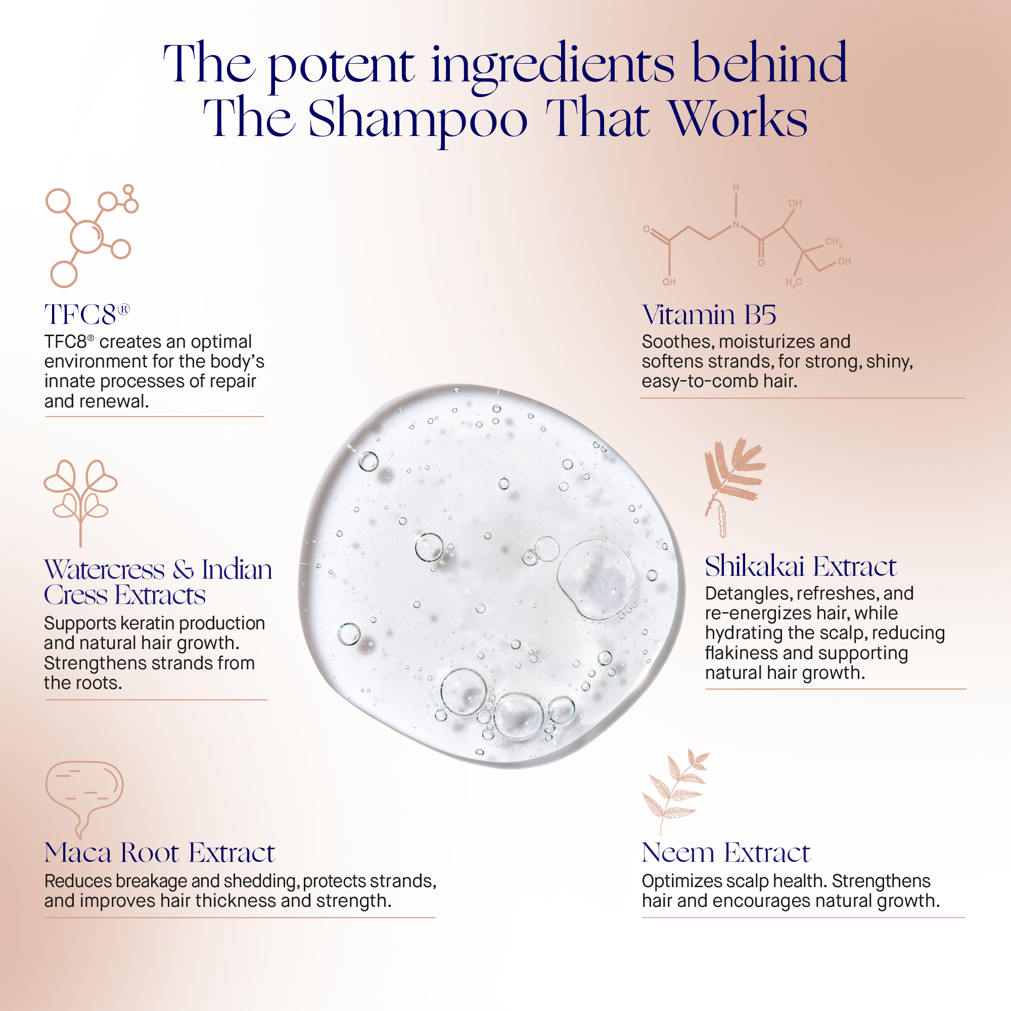 The Shampoo