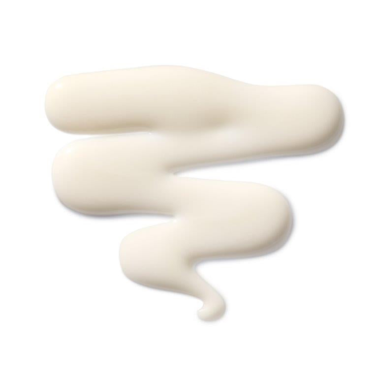 The Leave in Hair Treatment